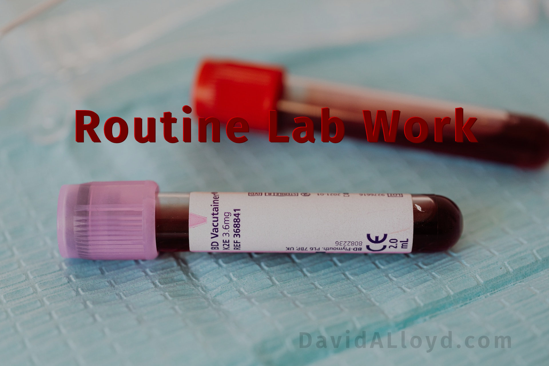 routine-lab-work-david-a-lloyd